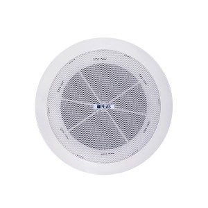 Special Design for China Professional ceiling loudspeaker