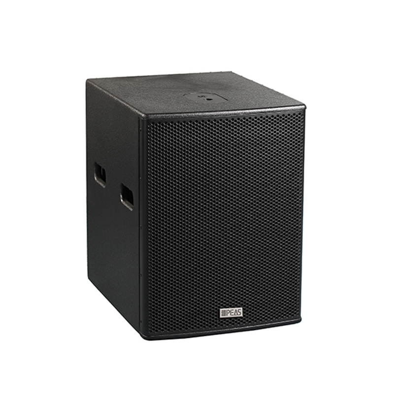 Reasonable price Outdoor Pa Speakers - Online Exporter China 10″ 250W Subwoofer(active With Processor) – Q&S