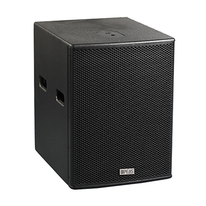 Good Wholesale Vendors Usb Audio Amplifier - PA-12B 12” 300W Subwoofer – Q&S