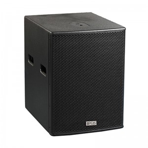 Online Exporter China 12″ 300W Subwoofer(active with processor)