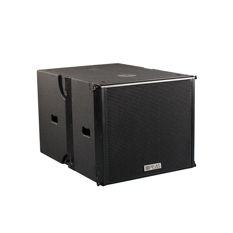 Well-designed Active Outdoor Speakers - PA-1SUB Single 15” Linear Subwoofer – Q&S
