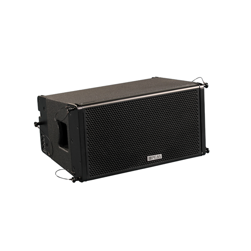Good quality Speaker 12 Inch Woofer -  PA-2A 10” Linear Array Speaker (Passive Active With Processor) – Q&S