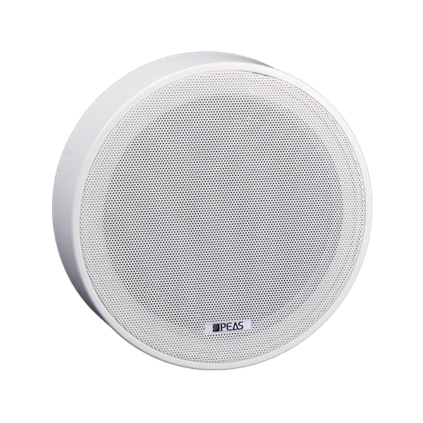 Competitive Price for 18inch Pa Speaker - CS665/CS665 3-10W Surface Mount Ceiling Speaker – Q&S
