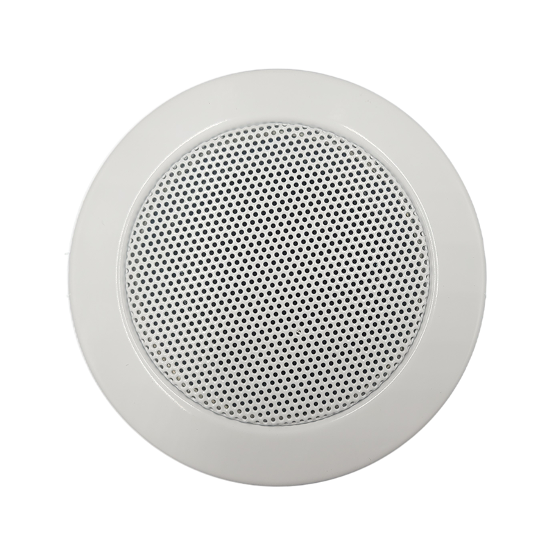 Newly Arrival Outdoor Blue Tooth Speaker - CS-326 3” 3W/6W Ceiling Speaker – Q&S